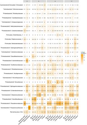 Growth and Persistence of an Aerobic Microbial Community in Wyoming Bentonite MX-80 Despite Anoxic in situ Conditions